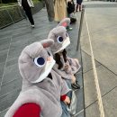 4박5일 상하이여행 Day2 : 점도덕 , 디즈니랜드(주토피아🐰❤️) , 하이디라오 , 도원향마사지