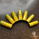 상록수전자 이미지