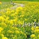해미