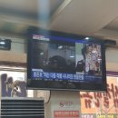 쭈돈나라 이미지