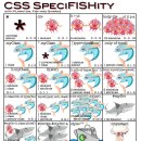 CSS 이미지