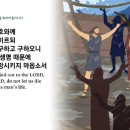 그리다시스