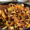 갑오징어짱 이미지