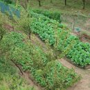 죽곡농장 이미지