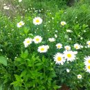 반딧불펜션 이미지