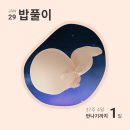 동산여자 | 임신 37주 동산병원 제왕절개 준비물 입원 준비 4인실 병실 보호자 면회 주차 등 정보 후기