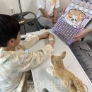 나사렛국제병원 이미지