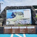 (주)성산현대서비스 | 성산일출봉 점심 맛집 추천 — 해물 한가득 꽃게 통째! 제주 해녀짬뽕 솔직 후기