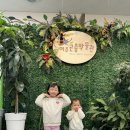 나비축산 | 여주아이랑갈만한곳 국내 유일 해외곤충전시 여주곤충박물관