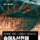 (주)제이에스앤컴퍼니 이미지