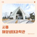 해양치유시티투어 | 시흥 아이와 가볼만한 곳, 해양생태과학관 방문 후기 (내돈내산)