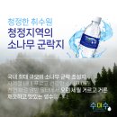 수미수