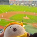 [잠실야구장] 최신 유행 야구 직관 푸드 후기 ⚾️ (브리쉘프라이,오토김밥,잭슨피자,요아정,김치말이국수)