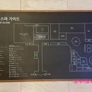 아쿠아필드 고양 이미지