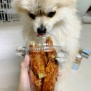 페따미꼬 이미지