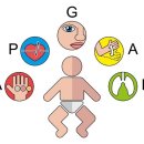 드림원탑 아동간호학편 아프가(APGAR) 점수 계산법