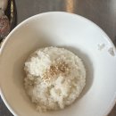 밥사랑 | 서울 송리단길 횟집 술집 야장 맛집 대강 모둠 숙성회, 초밥 밥 후기