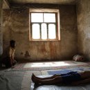 바람향기 이미지