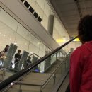 [004] :: 에티하드항공 [ETIHAD AIRWAYS] :: AUH-CDG (아부다비-파리) Y cls :: 22 JUN 2011