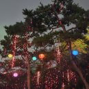 재봉옷 만들기(A반) | 세종 영평사 낙화축제 2025 후기 이용 정보 비 오는 날 이용 팁