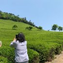 보성하나로마트 뚜레쥬르 | 2025 보성 1박2일 글램핑 여행