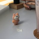보틀라운지