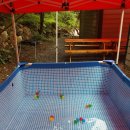 덕동달구지펜션 이미지