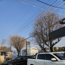 율문길 | 춘천 맛집 '초가뭉텅찌개' 방문 솔직 후기 꿀팁 및 주차 안내