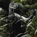 벨로시랩터 이미지