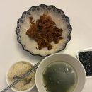 보배렌트카 | 260415 근황