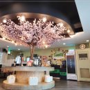 푸릴리 평택점 이미지