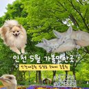 다육식물놀이터 | 인천 5월 가볼만한곳 추천 인천대공원 동물원 반려견 놀이터