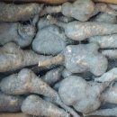 알뜰농장 이미지