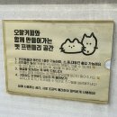 파주 야당역 디저트 맛집 노트북 하기 좋은 애견동반 카페 오알커피