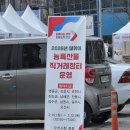 직거래장터 | 설 명절 준비 끝! 아이와 함께 가기 좋은 오산시청 직거래 장터 후기 득템 김 맛집 주차