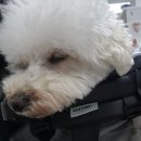 석수반점 | [11월의 기록] 첫째 주