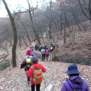 원적산길 이미지