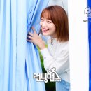 대성ELC