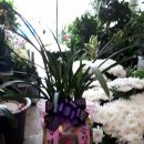 임실꽃화원 이미지