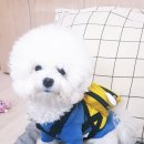 (주)청려원 이미지