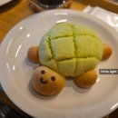 거북이카센터 이미지