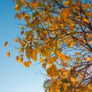 창포경희한의원 이미지