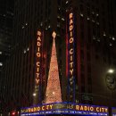 랜드마크 원 | 26.01.01 연초 뉴욕 여행_앳홈트립 픽패스(랜드마크 스냅+차량투어 후기)