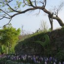 은혜머리마당 이미지