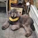 이마트 죽전점 몰리스 이미지