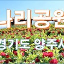 나리공원앞~국민체육센터 앞 이미지