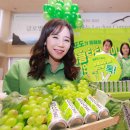 청포도 이미지
