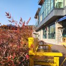 남천할머니경로당 이미지