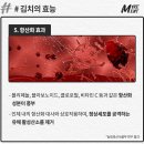 10대 슈퍼푸드 1위 김치의 검증된 효능 6가지 이미지