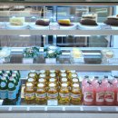 오늘도 힘차개 이미지